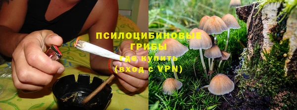 бошки Надым