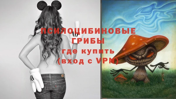 прущий лед Навашино