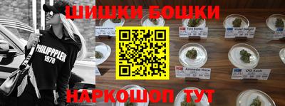 крисы Гай