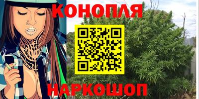 крисы Гай