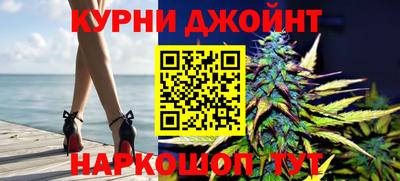 крисы Гай