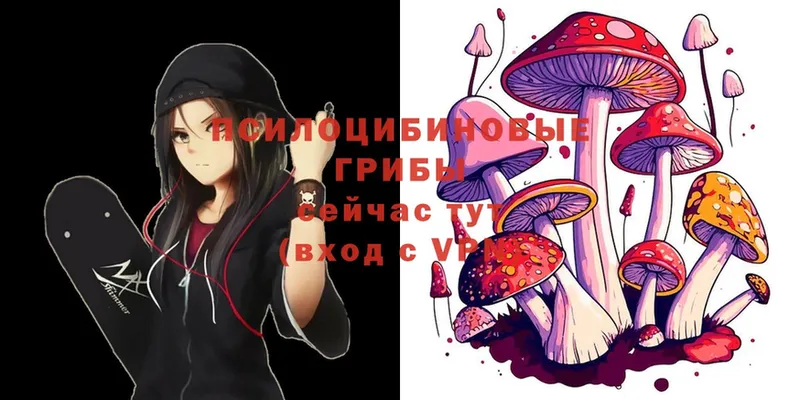 Псилоцибиновые грибы Magic Shrooms  дарнет шоп  Елизово 