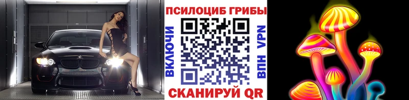 купить наркотик  Елизово  kraken ссылки  Псилоцибиновые грибы Psilocybine cubensis 