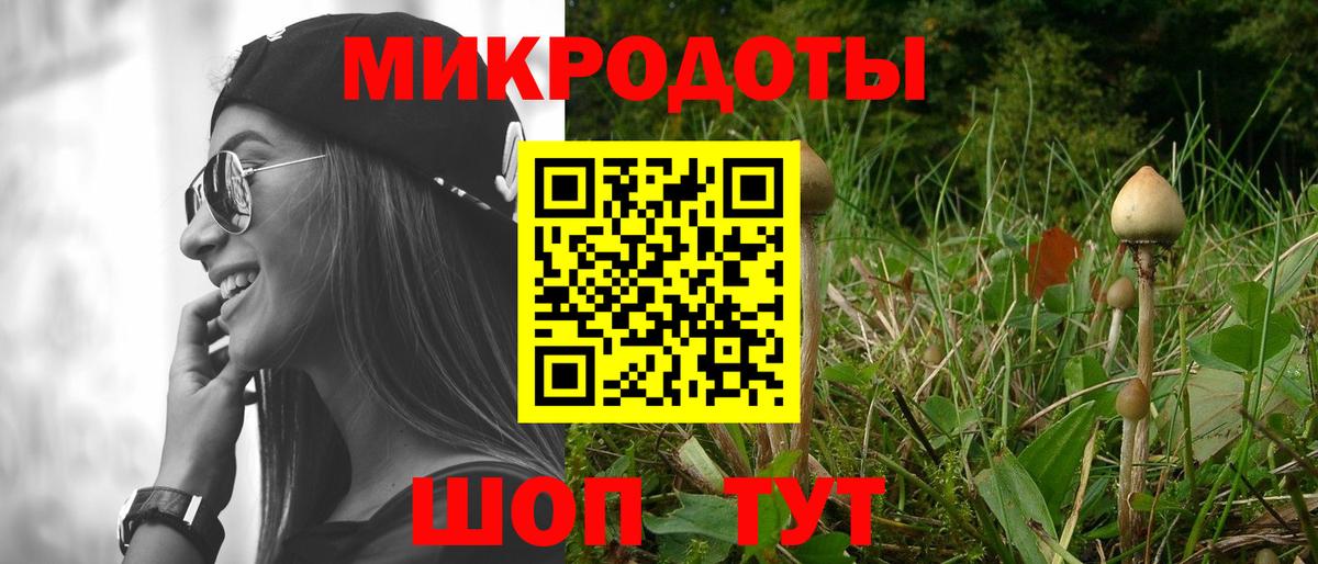 Псилоцибиновые грибы мицелий Елизово