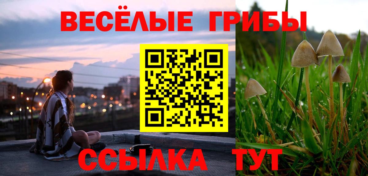 Галлюциногенные грибы MAGIC MUSHROOMS  Вход с VPN  Елизово 
