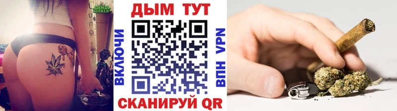 наркотики  Елизово  Каннабис конопля 
